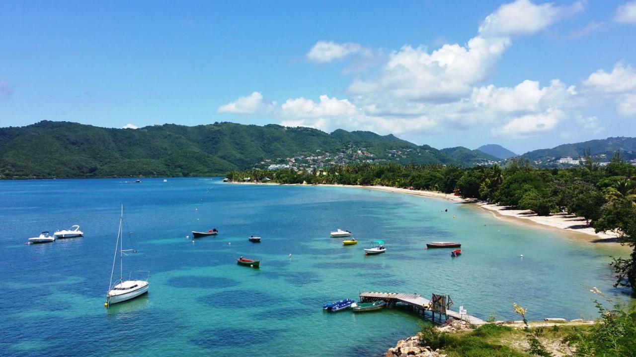 Studios Carribean Sea View Sainte-Anne Kültér fotó