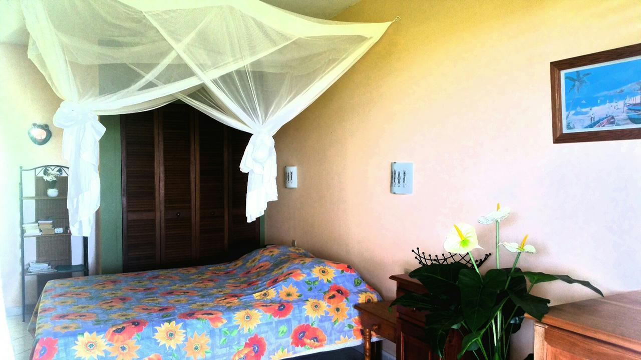 Studios Carribean Sea View Sainte-Anne Kültér fotó