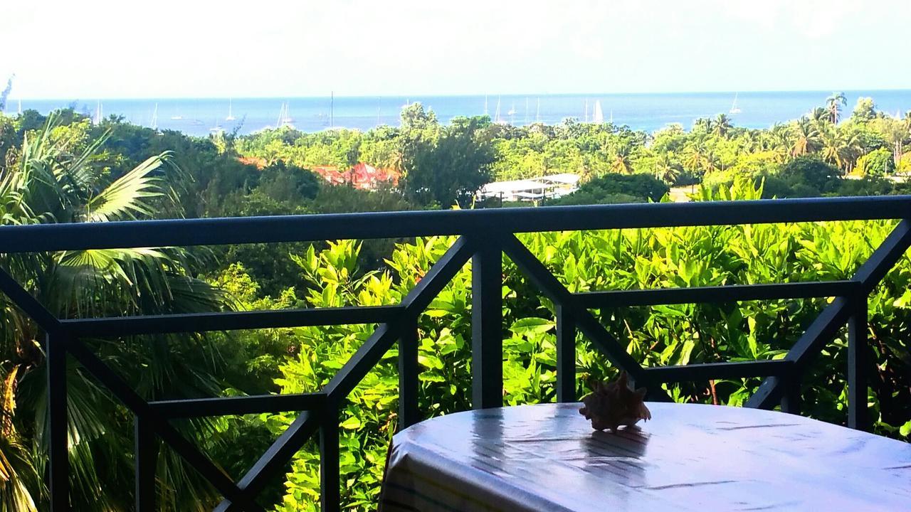 Studios Carribean Sea View Sainte-Anne Kültér fotó