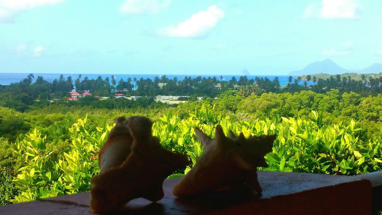 Studios Carribean Sea View Sainte-Anne Kültér fotó